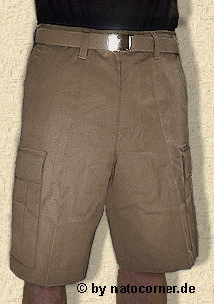 BDU Shorts -Summertime