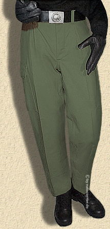 Qualität die man kennt , die BW-Hose in Moleskin .....v. natoshop.de