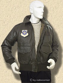 A2 Lederjacke, die schaut gut aus