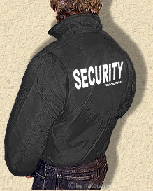 Standardschriftzug SECURITY