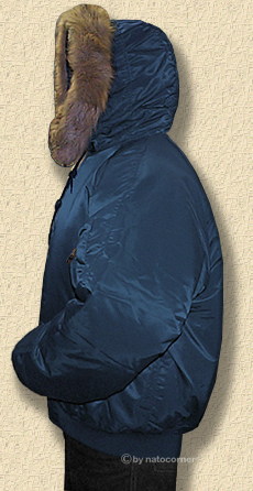 in arktischer Performance