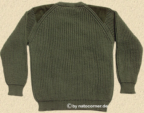 das Pullöverchen in der Rückenansicht
